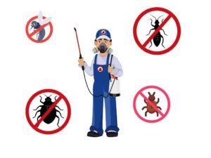 What Is Pest Control A Complete Beginner’s Guide