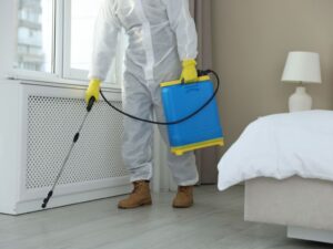Why Pest Control Is Important for Every Home
